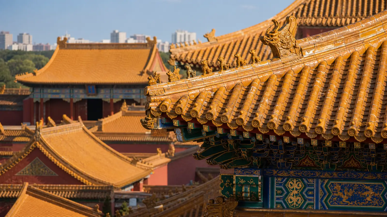 Golden rooftops and red walls of the Forbidden City in Beijing under a clear blue sky